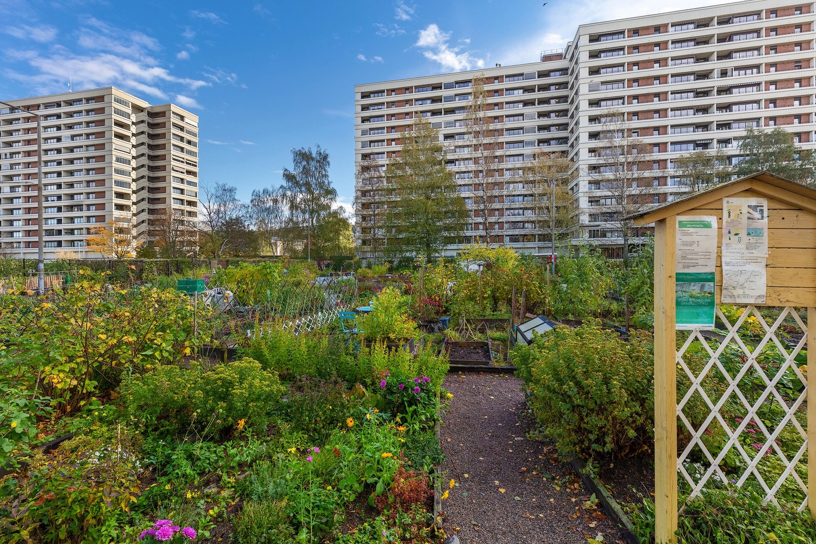 Foran blokken finner du en parsellhage. Hagen eies av Oslo kommune og har egne retningslinjer for bruk og kontrakter. Galleribilde