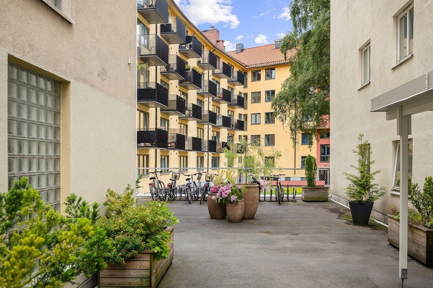 Hyggelig bakgård med sykkelparkering, beplantning m.m. Galleribilde