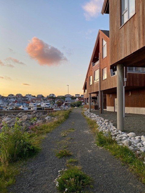 Private bilder. Foran bygningene ned mot sjøen. Galleribilde