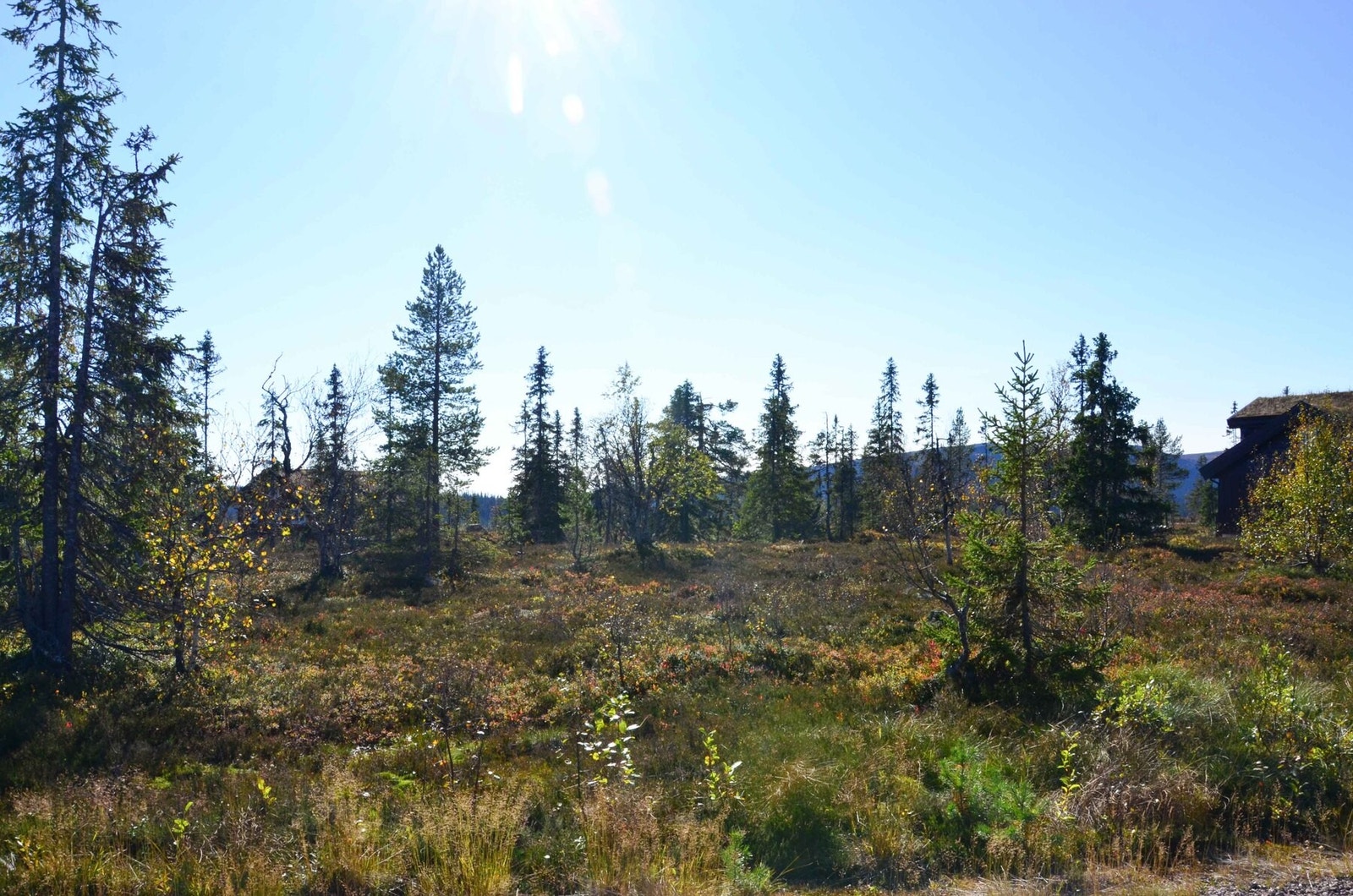 Foto fra tomt 51/739 Galleribilde