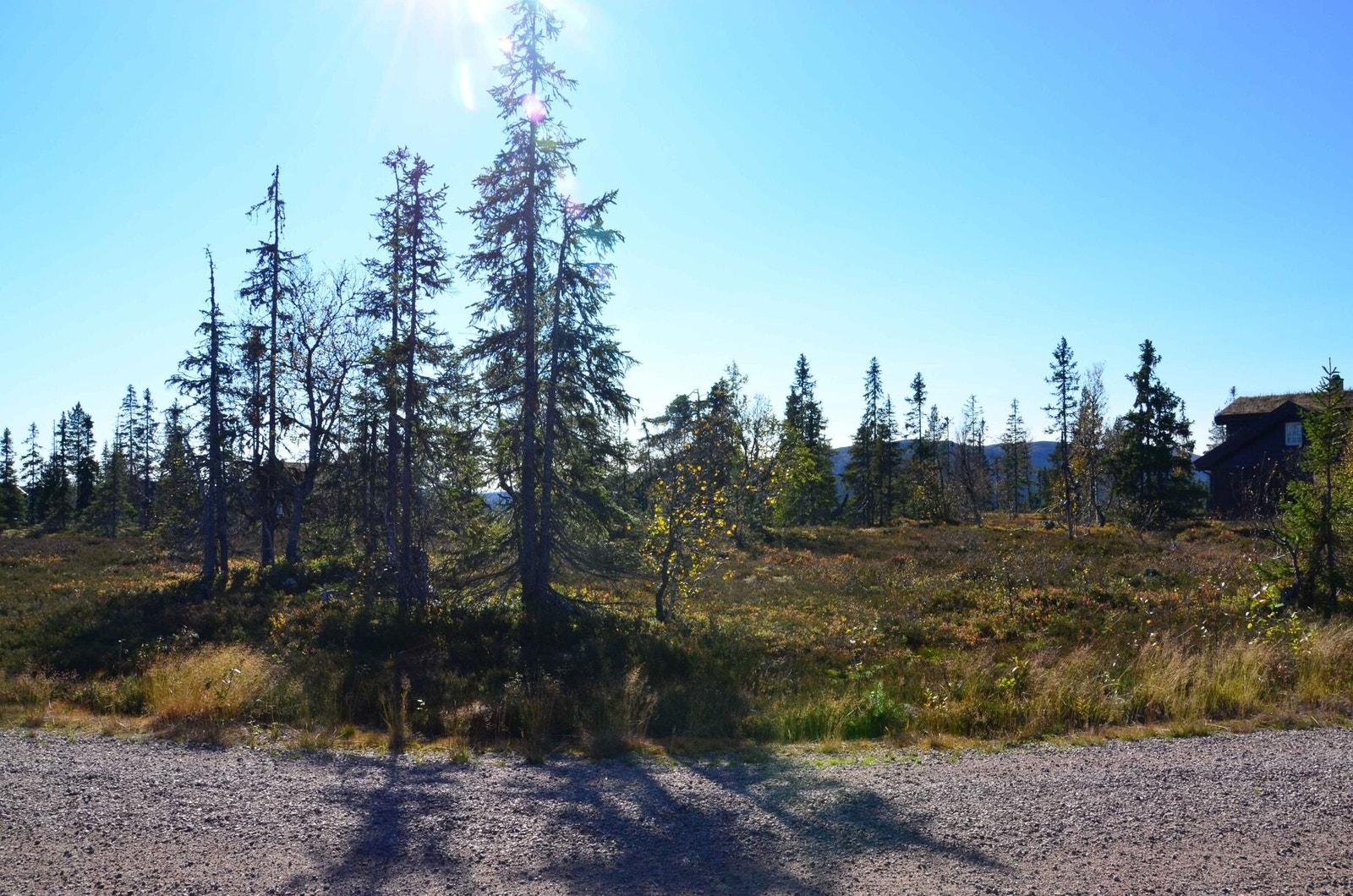 Foto fra tomt 51/739 Galleribilde