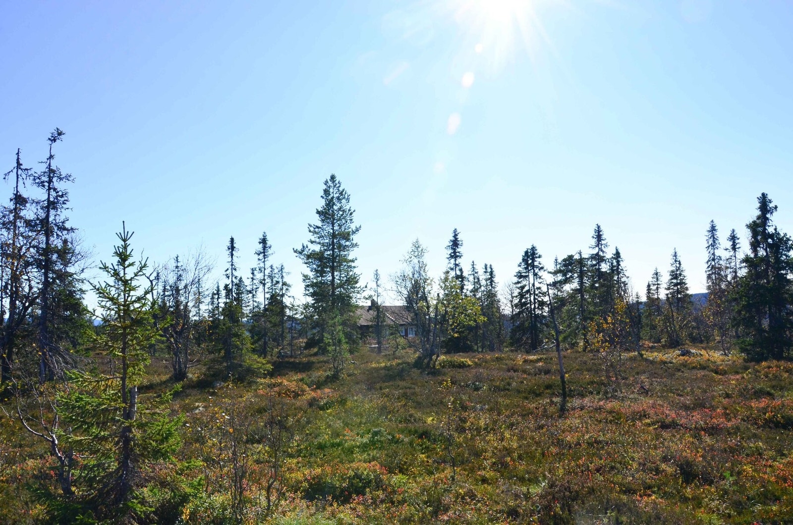 Foto fra tomt 51/739 Galleribilde