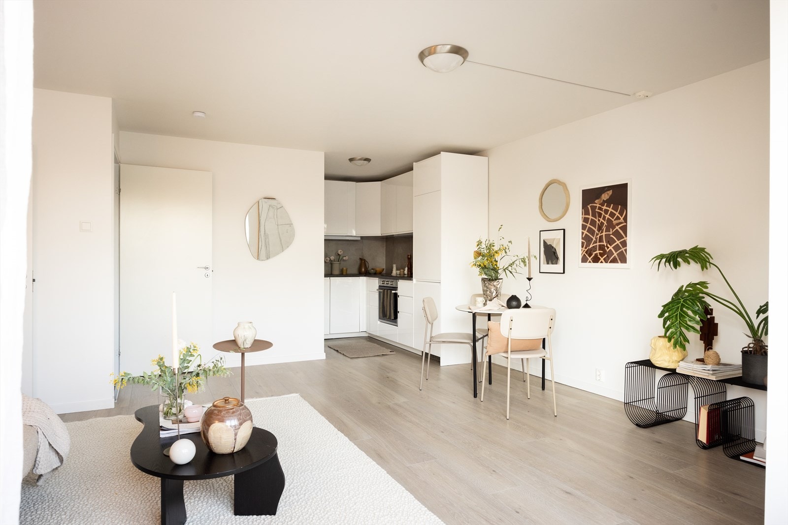 Sosial planløsning med åpen stue/kjøkken løsning Galleribilde