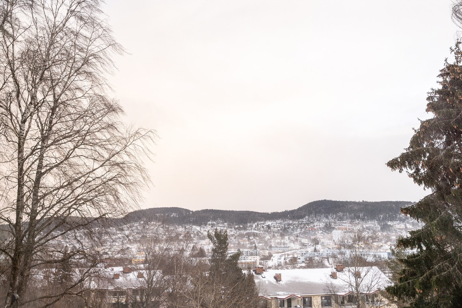 Fra leiligheten kan du nyte nydelig utsikt mot Grefsenkollen. Galleribilde