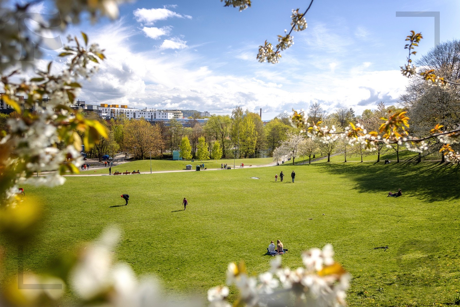 Bjølsendumpa - stort grøntområde langs Akerselva. Galleribilde
