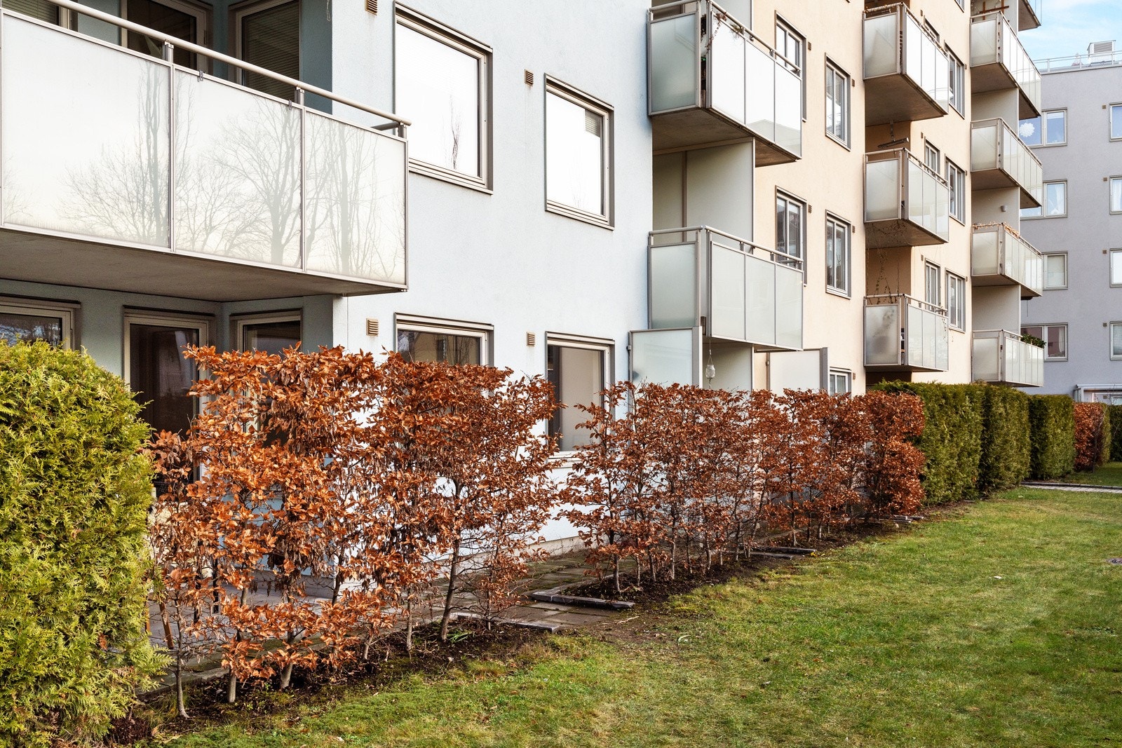 Fra markterrassen er det direkte adkomst til fellestomten. Galleribilde