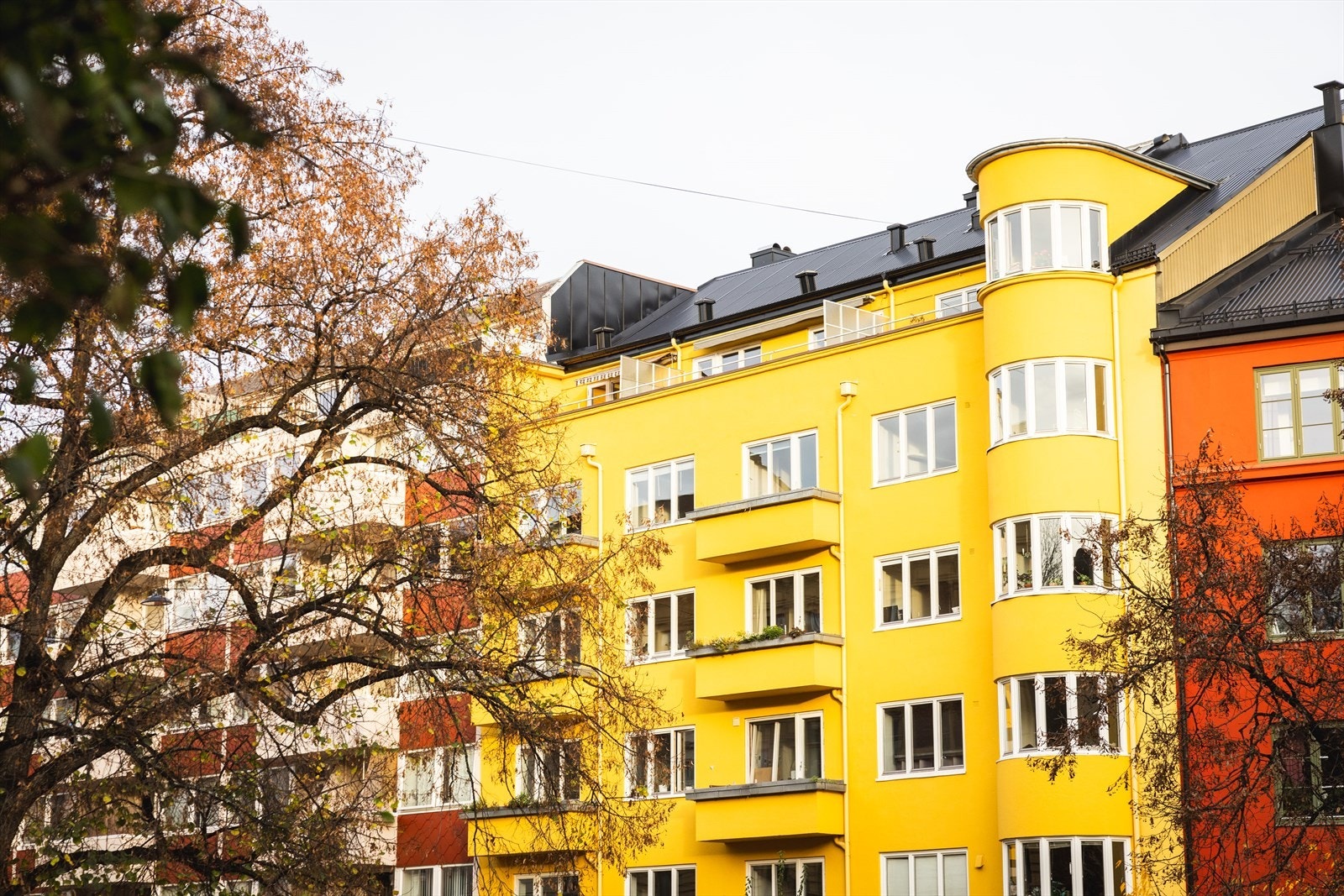 - Fasade - Galleribilde
