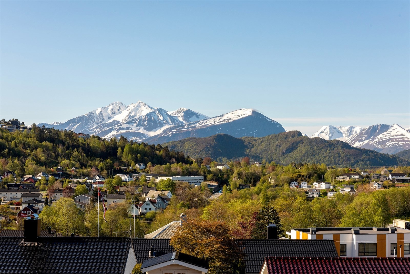 Spektakulær utsikt mot snødekte fjell og frodig landskap Galleribilde