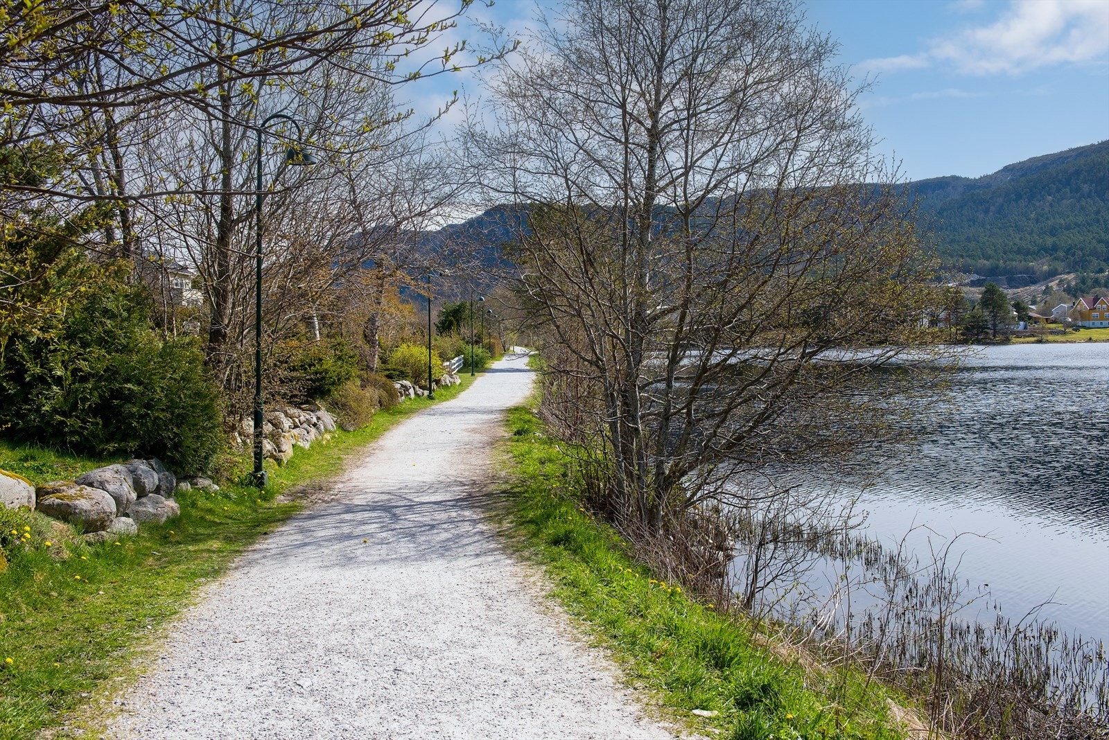 Fra gangsti ved Lillevannet Galleribilde