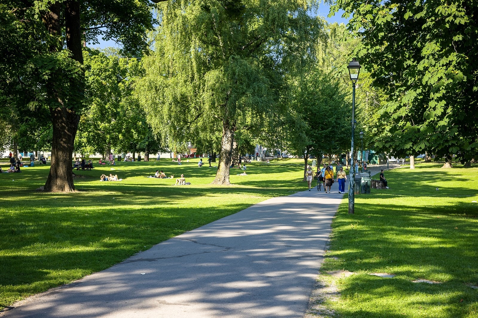 Sofienbergparken Galleribilde