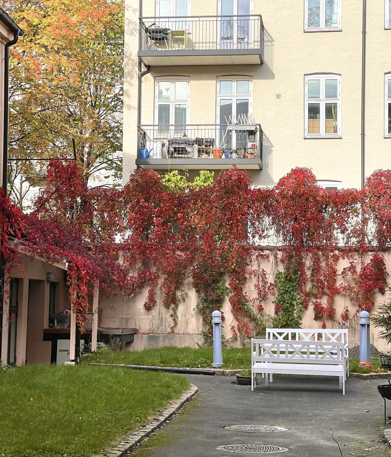Bakgården er enda flottere på sommerstid, med frodig beplantning! Galleribilde