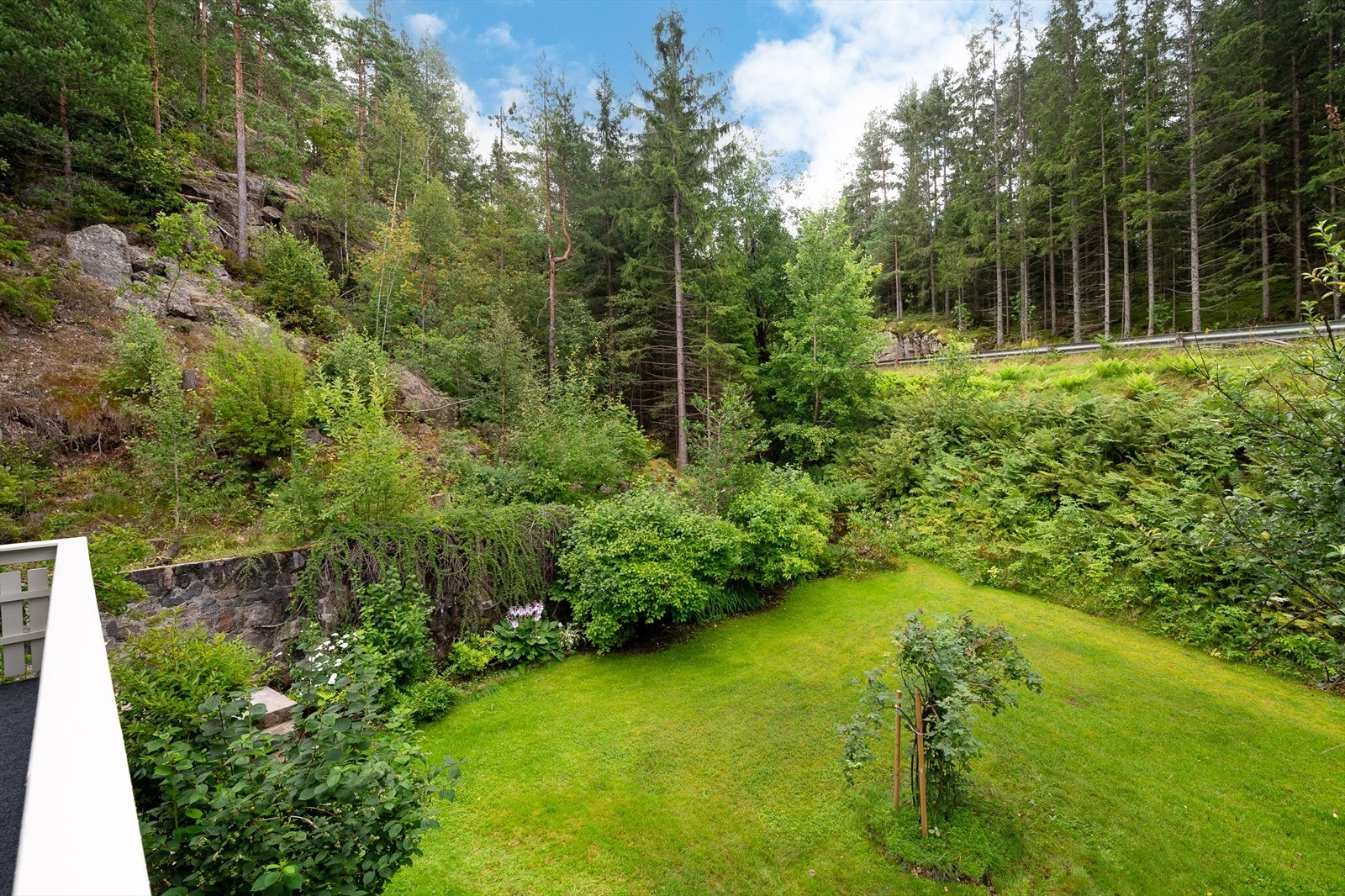 Romslig hage innbyr til lek og moro Galleribilde