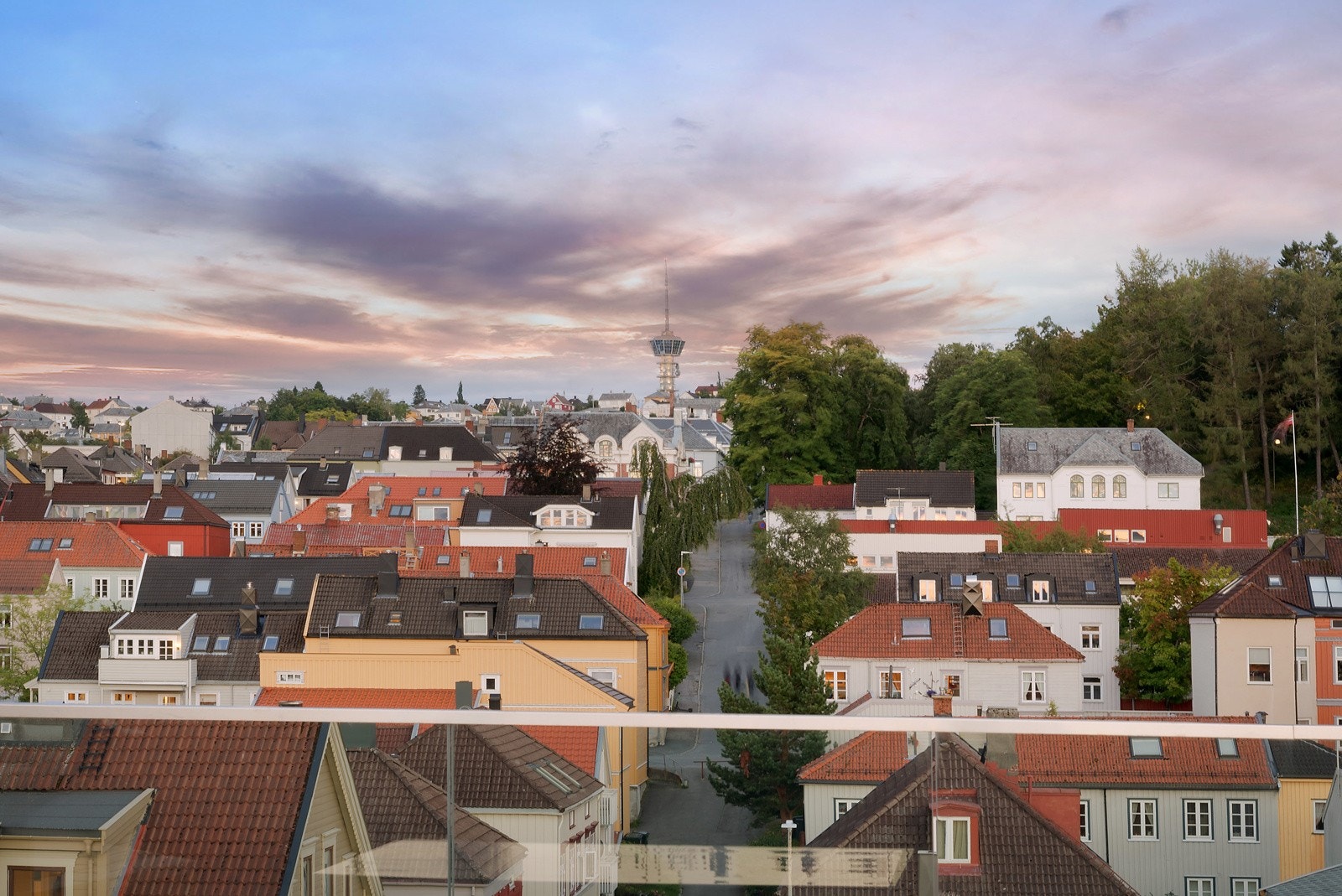 Solforholdene er meget gode både for morgenfuglen og natteravnen. Galleribilde