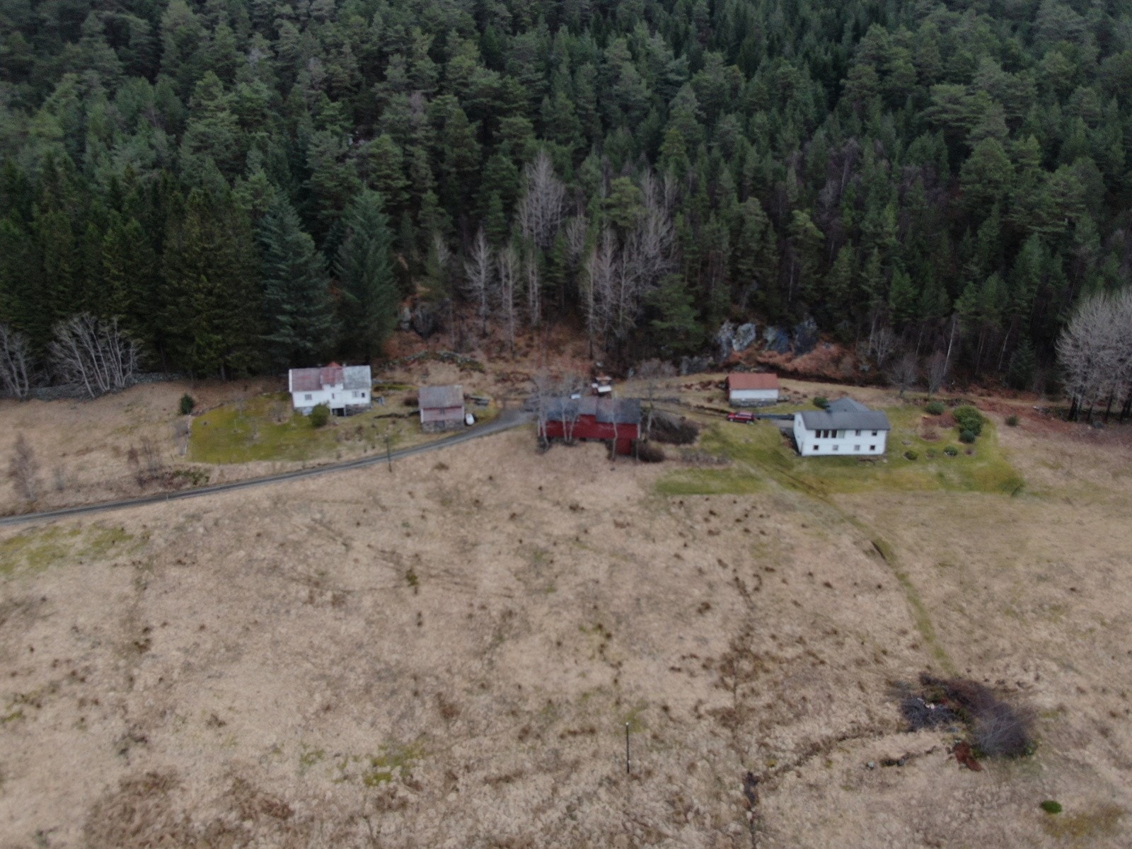 Oversiktsbilde Galleribilde