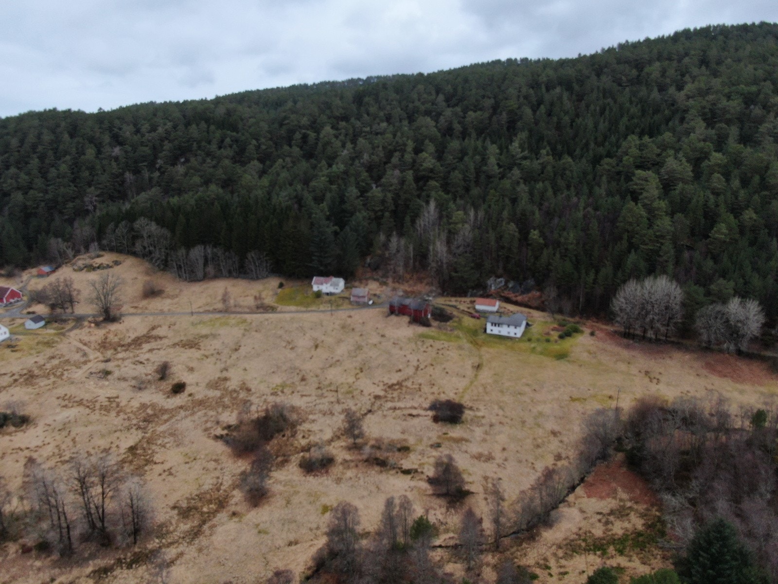 Oversiktsbilde Galleribilde