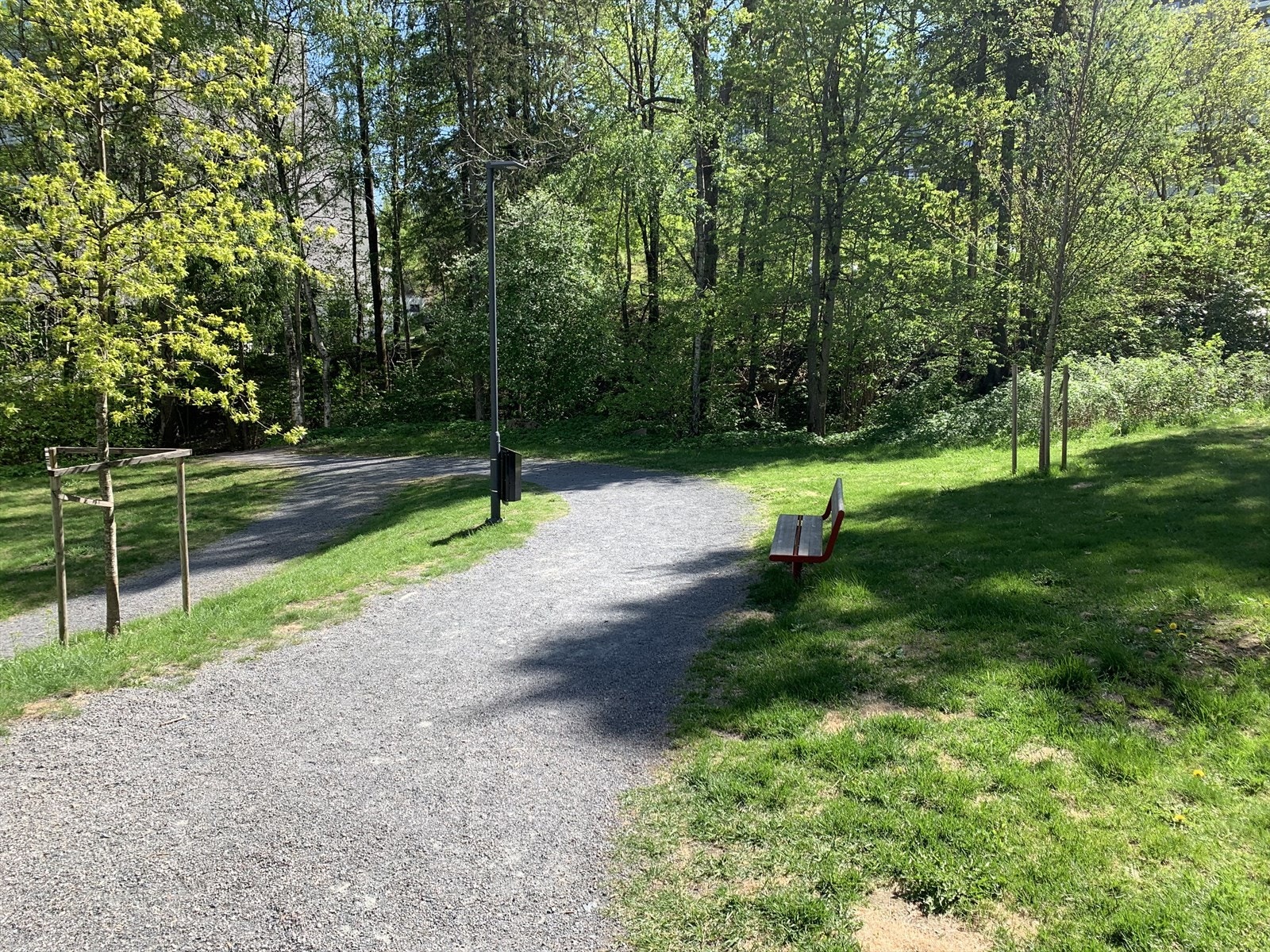 Turområder ikke langt unna Galleribilde