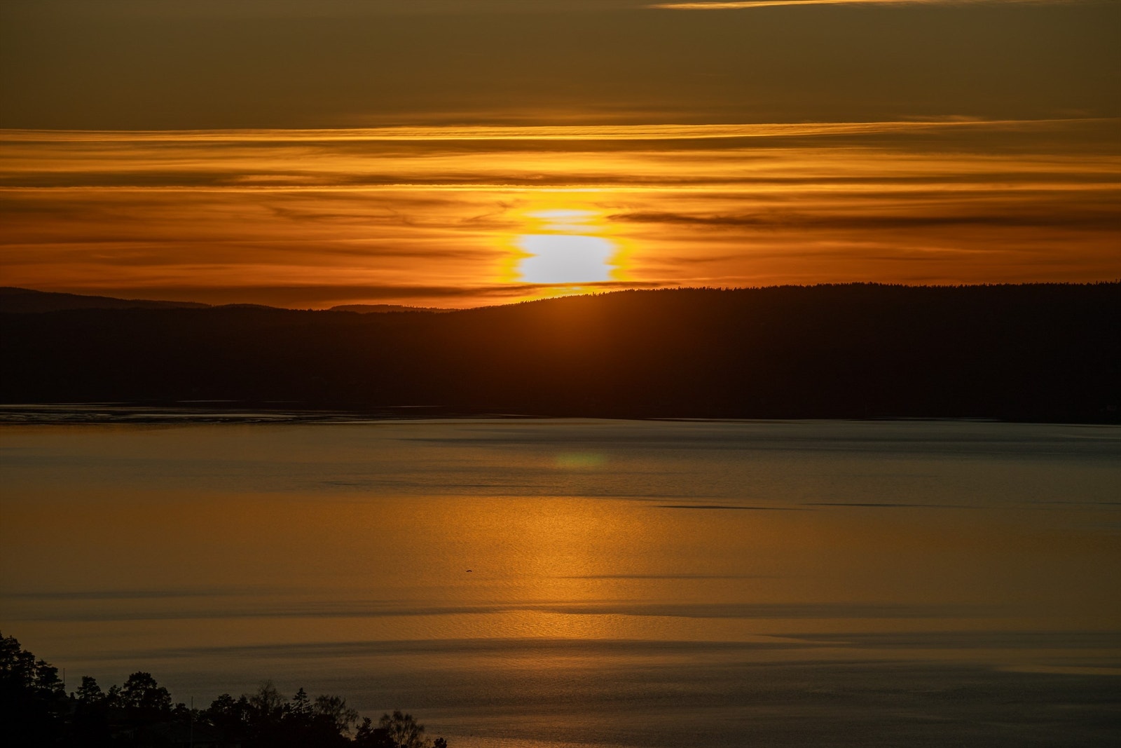 Panoramautsikt over fjorden, øyene og byen. Galleribilde