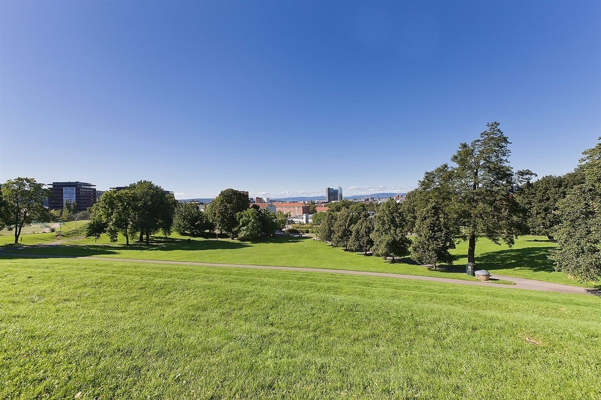 Nærområdet - Tøyenparken Galleribilde