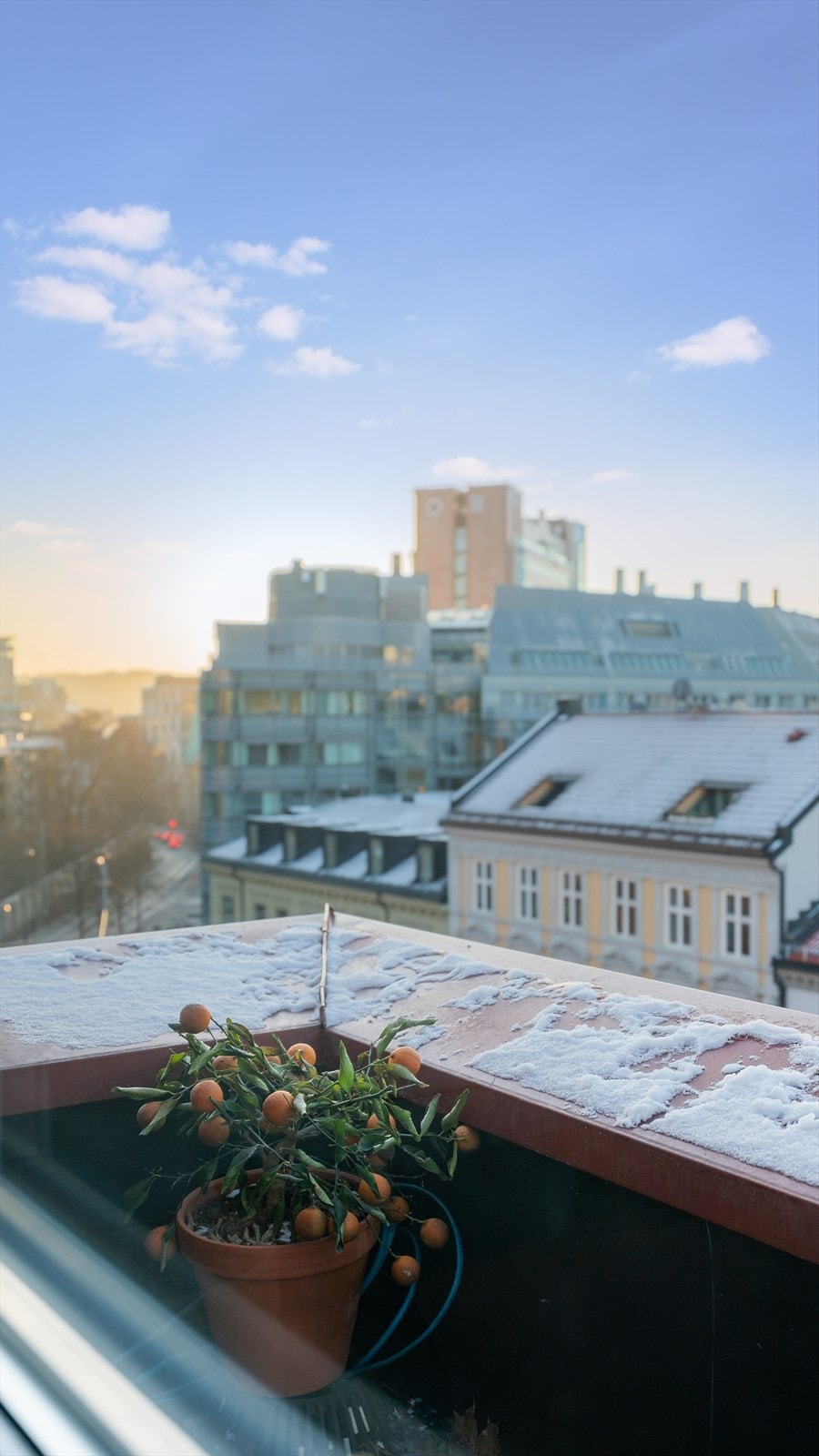 Flott utsikt fra stuen Galleribilde