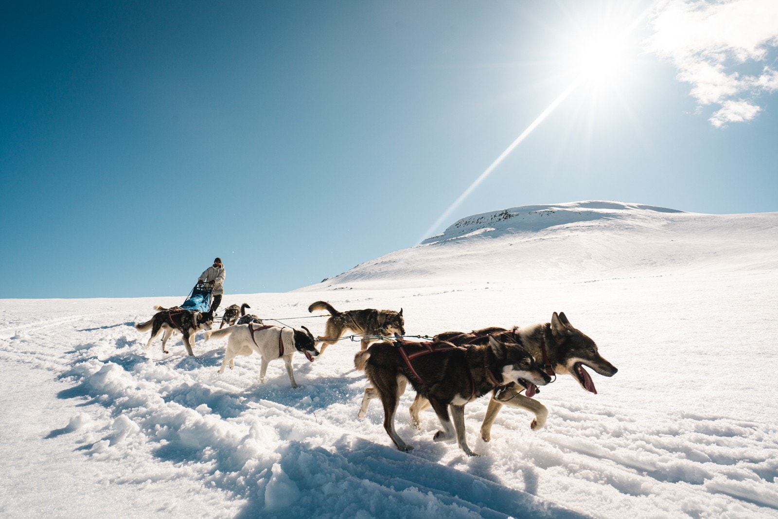 Fjellet legger opp til en rekke aktivitetsmuligheter. Fotograf: Jon Hunnålvatn Tøn Galleribilde