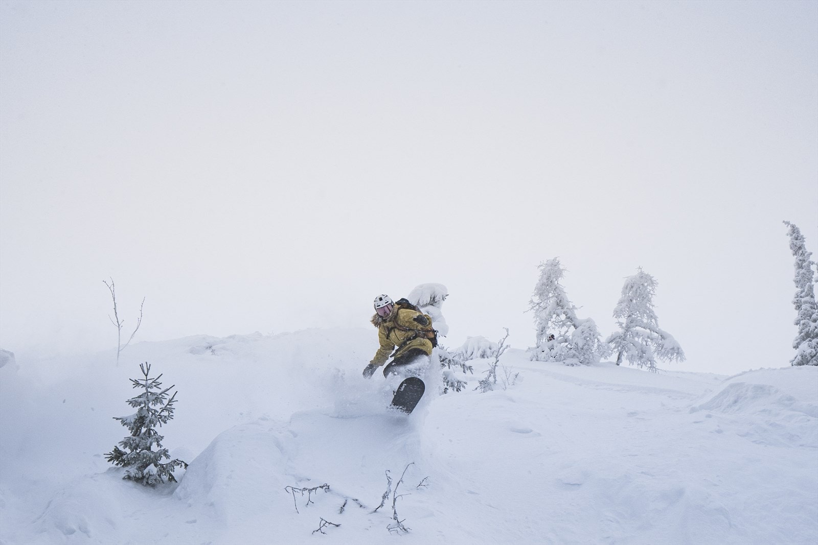 Høgevarde er kjent for å være et snørikt område med supre muligheter for pudderkjøring. Fotograf: Jon Hunnålvatn Tøn Galleribilde