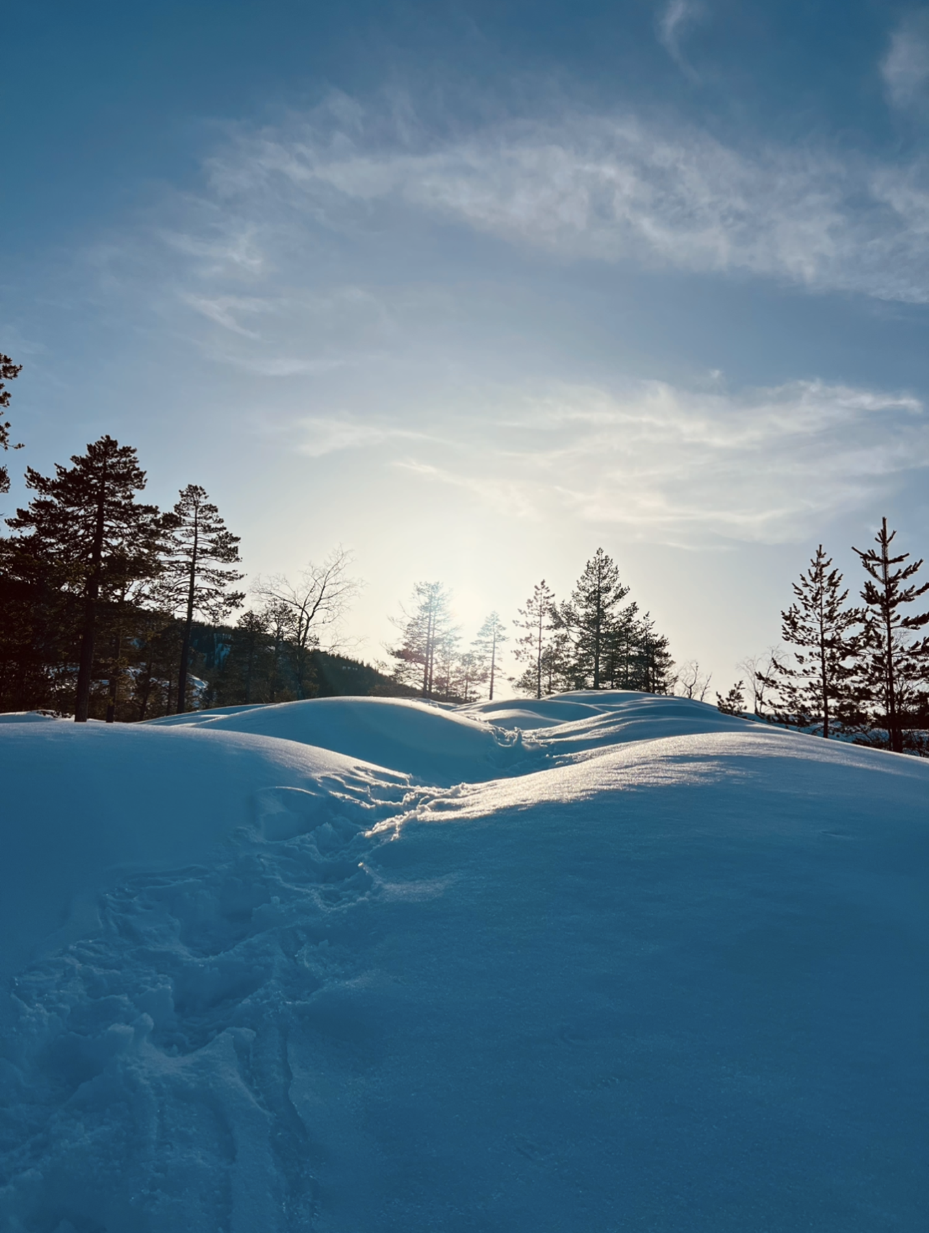 Vinterbilde. Privat foto. Galleribilde