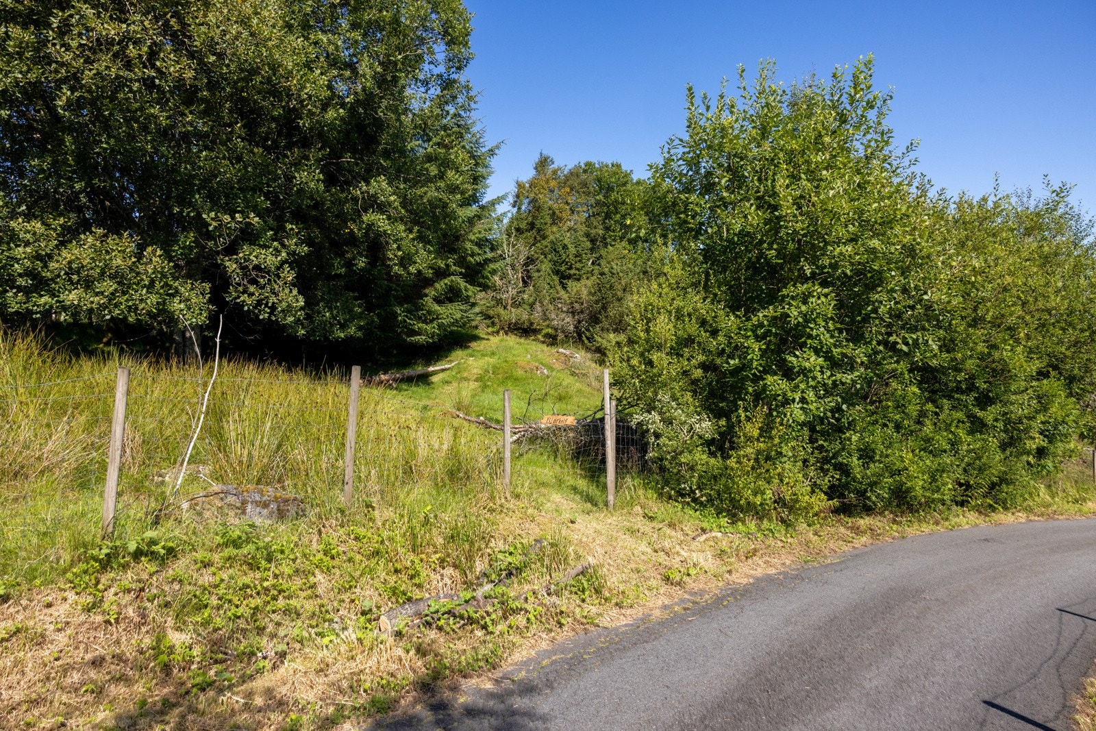 Veirett til tomten. Galleribilde