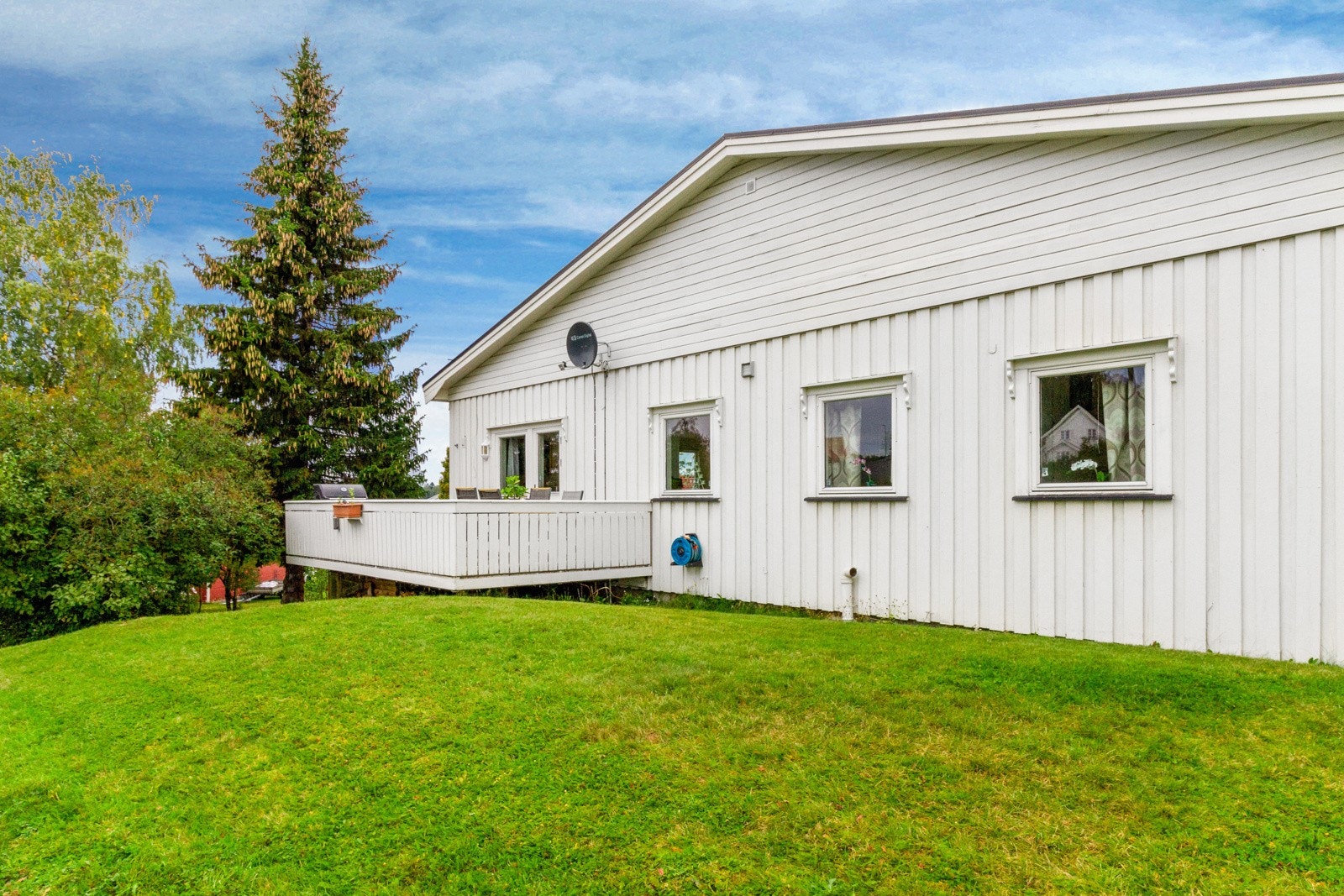 Fellesplen for borettslaget. Galleribilde