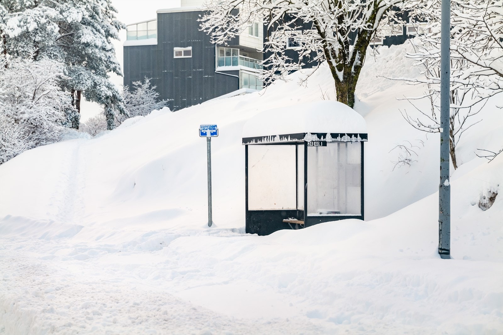 Busstopp like ved. Galleribilde