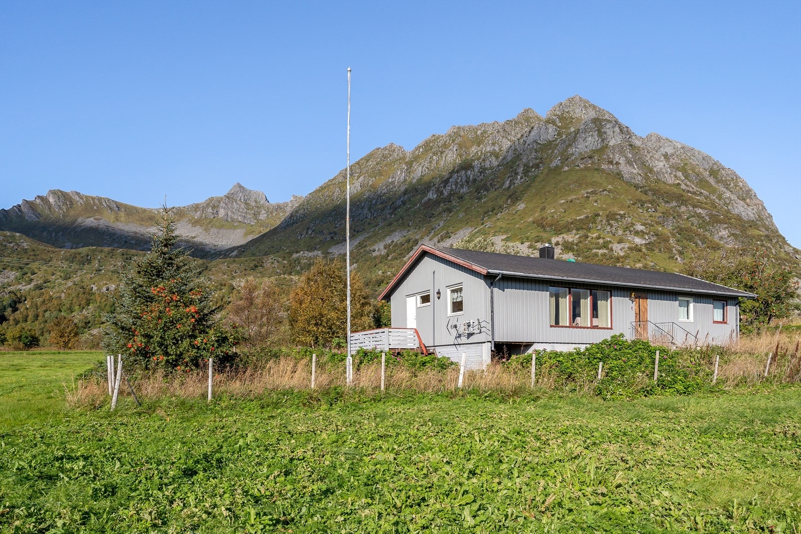 Fasade. Galleribilde