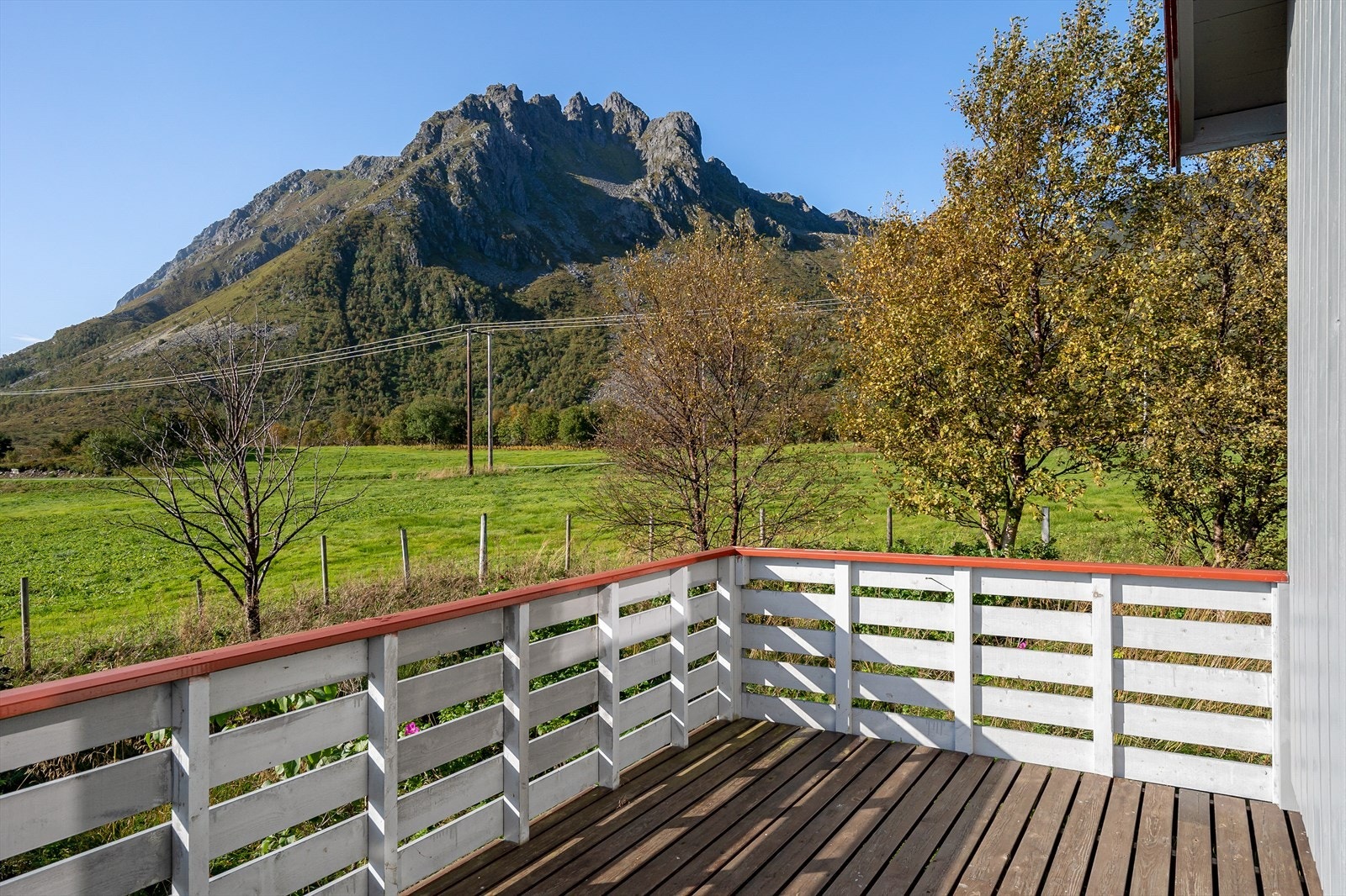 Gode solforhold på eiendommen. Galleribilde