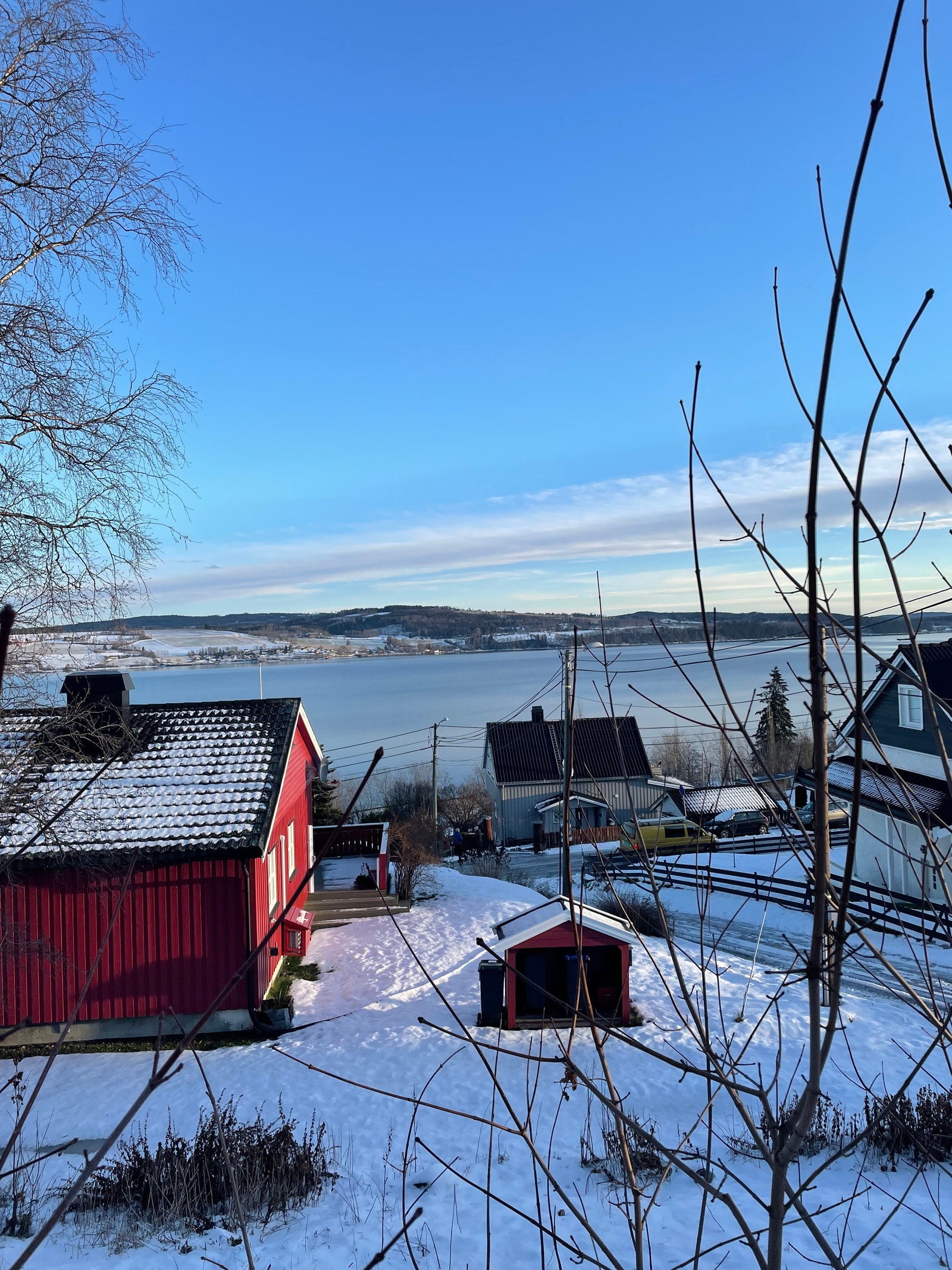 Bilde fra tomten Galleribilde