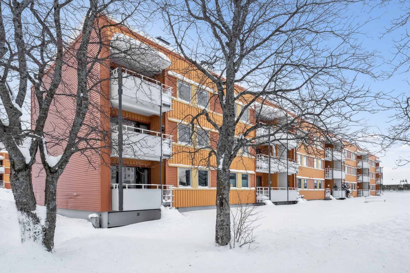 Velkommen til visning! Galleribilde