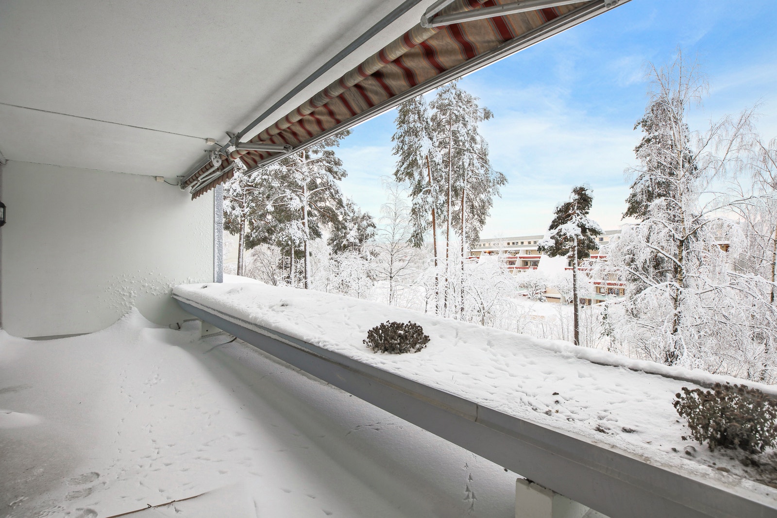 Velkommen til visning! Galleribilde