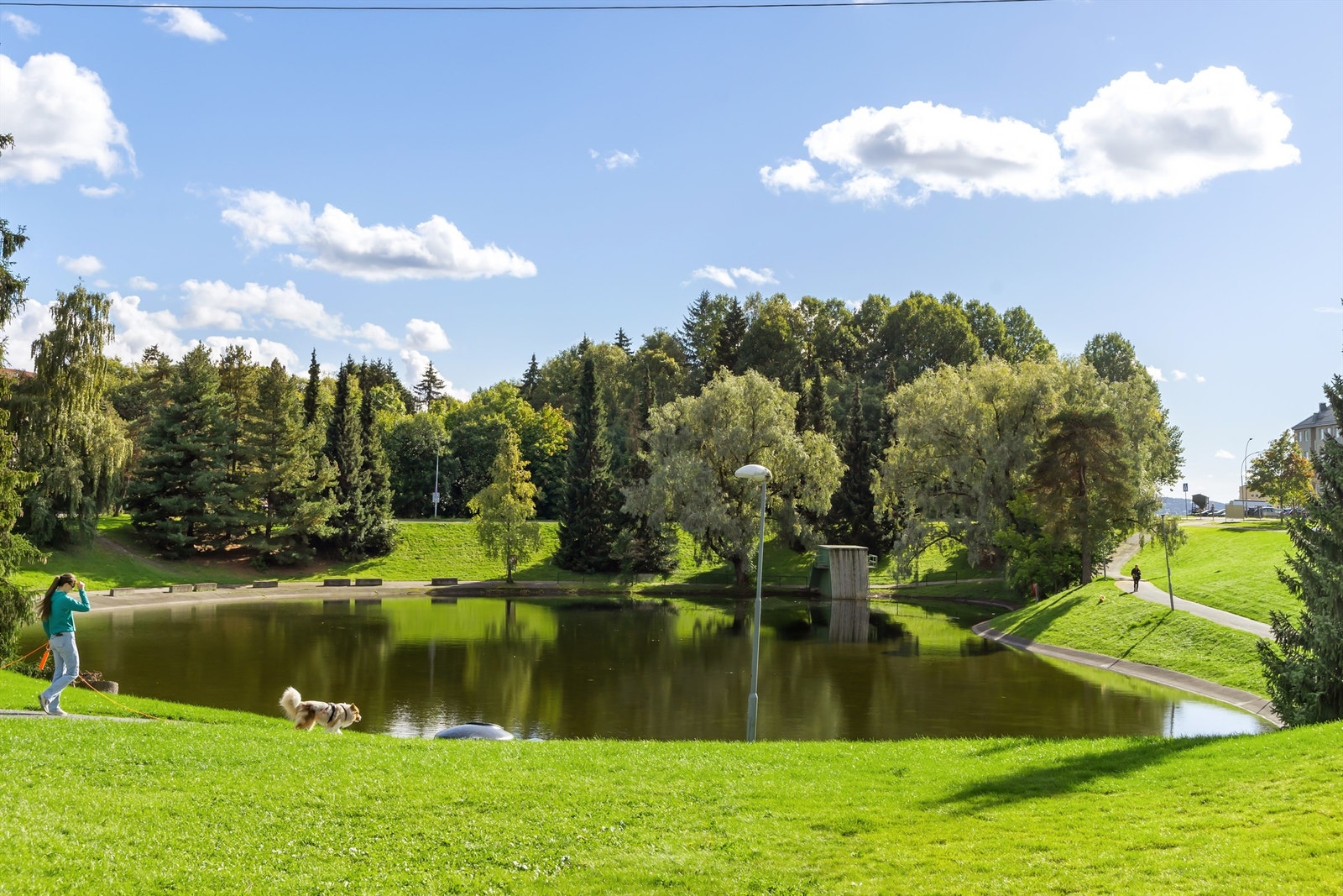 Badedammen på Tonsenhagen er svært populær blant de litt yngre. Som badevann på sommerstid og akebakke på vinterstid. Galleribilde