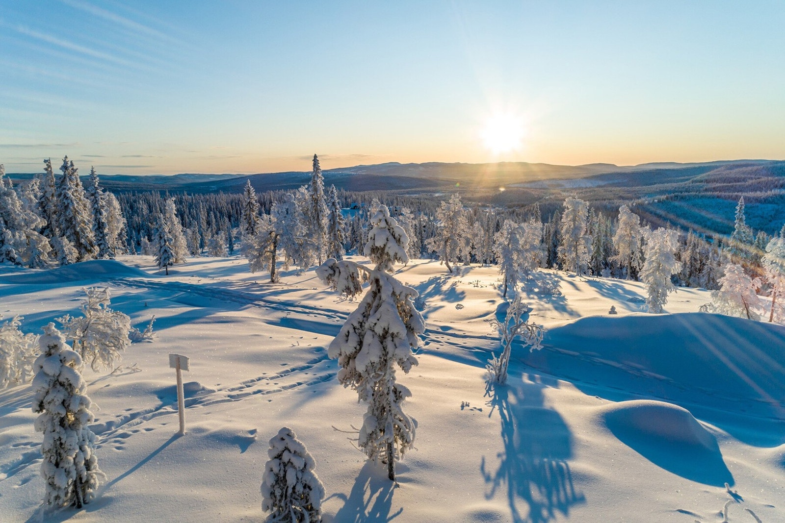 Foto fra tomteområdet Galleribilde