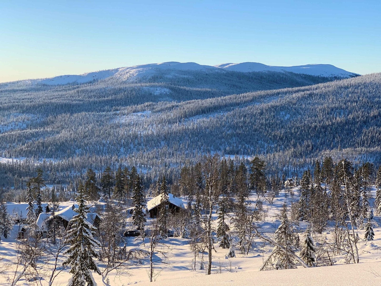 Foto fra tomteområdet Galleribilde