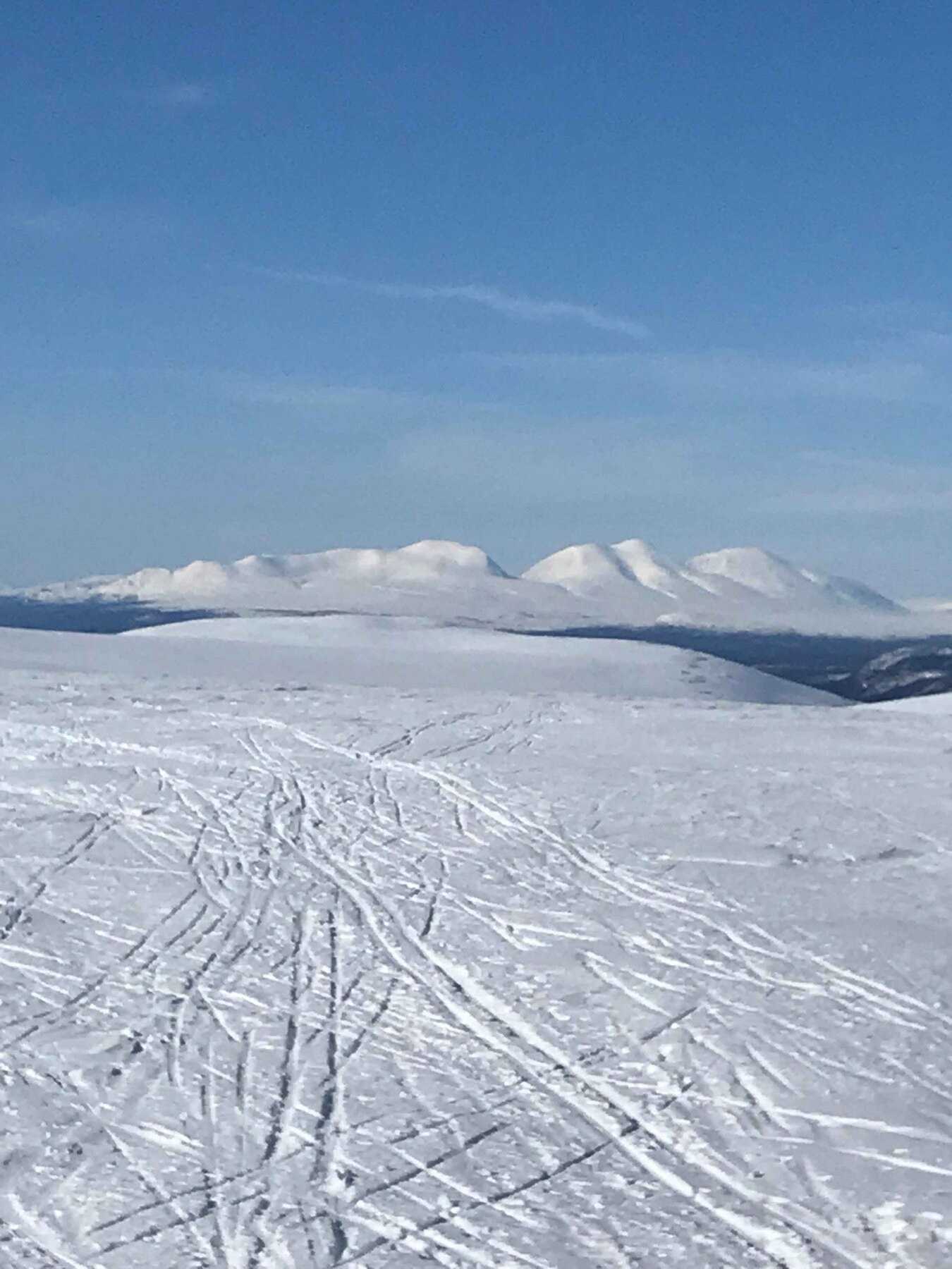 Her mot Sølenfjellene i nord Galleribilde