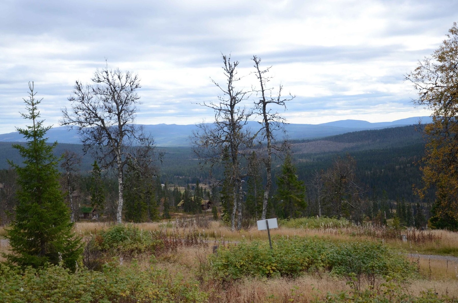 Foto fra tomt 51/749 Galleribilde