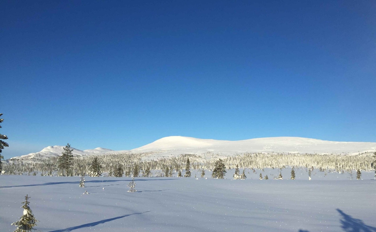 Nydelig fjellandskap Galleribilde