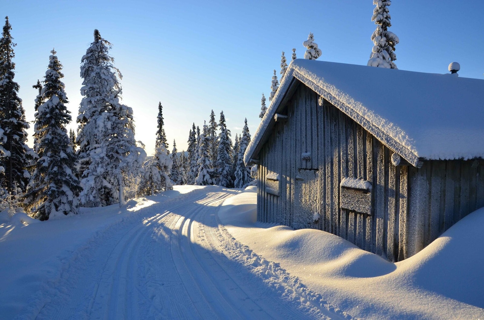 Flotte skiløyper i området Galleribilde