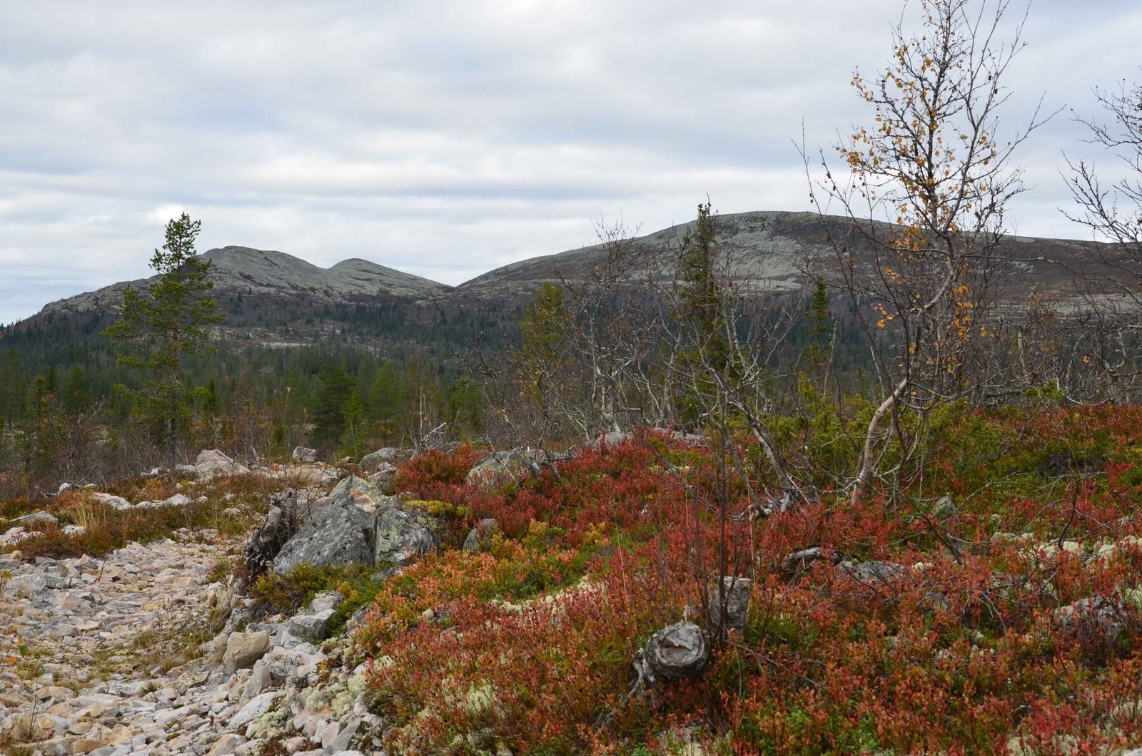 Nydelig terreng på fjellet Galleribilde