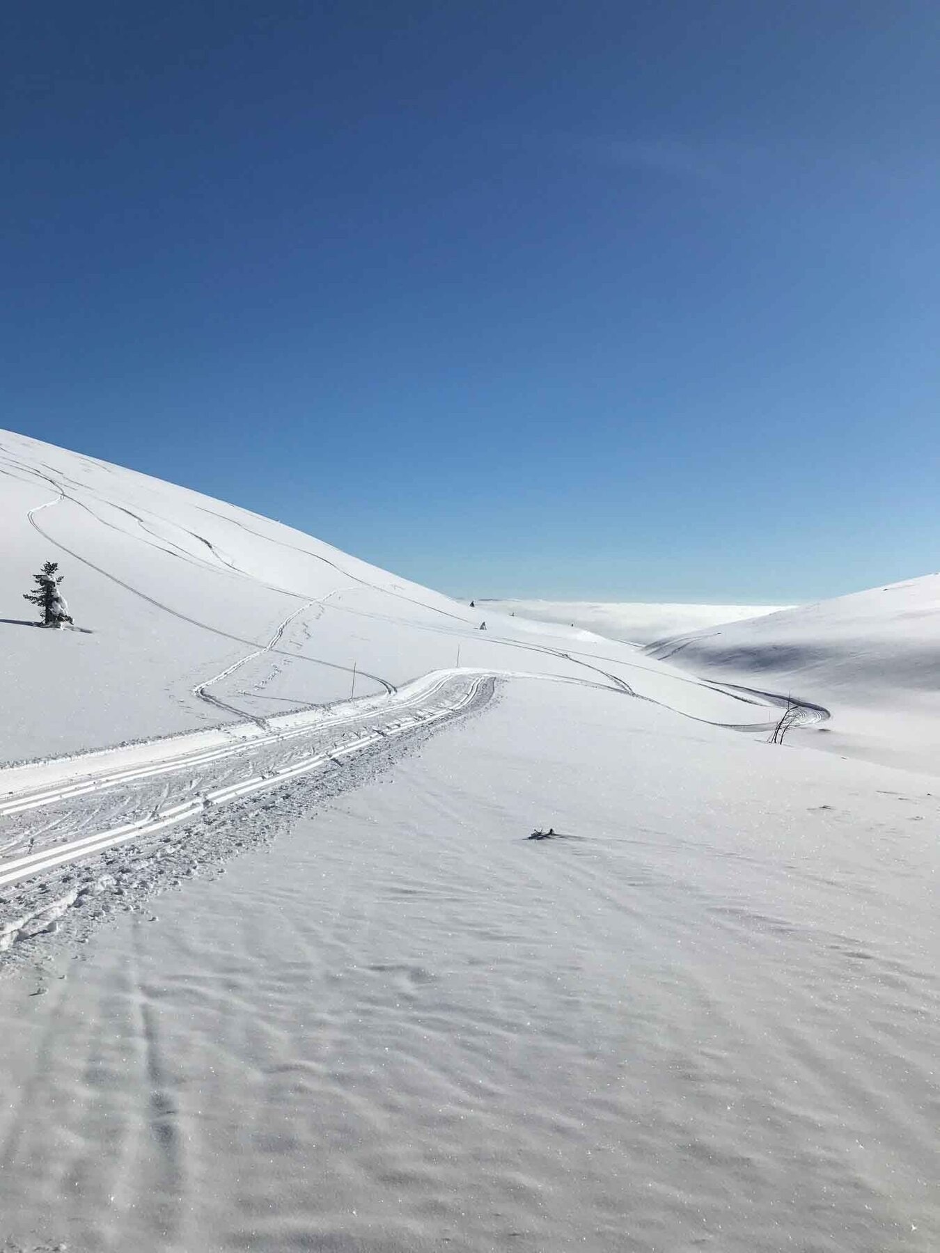 Fra den populære løypa forbi Promillegropa Galleribilde