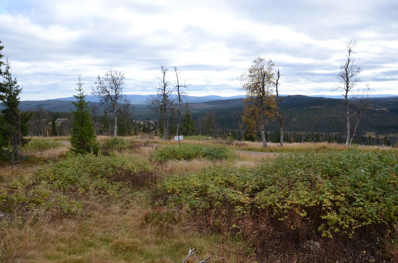 Foto fra tomt 51/749 Galleribilde