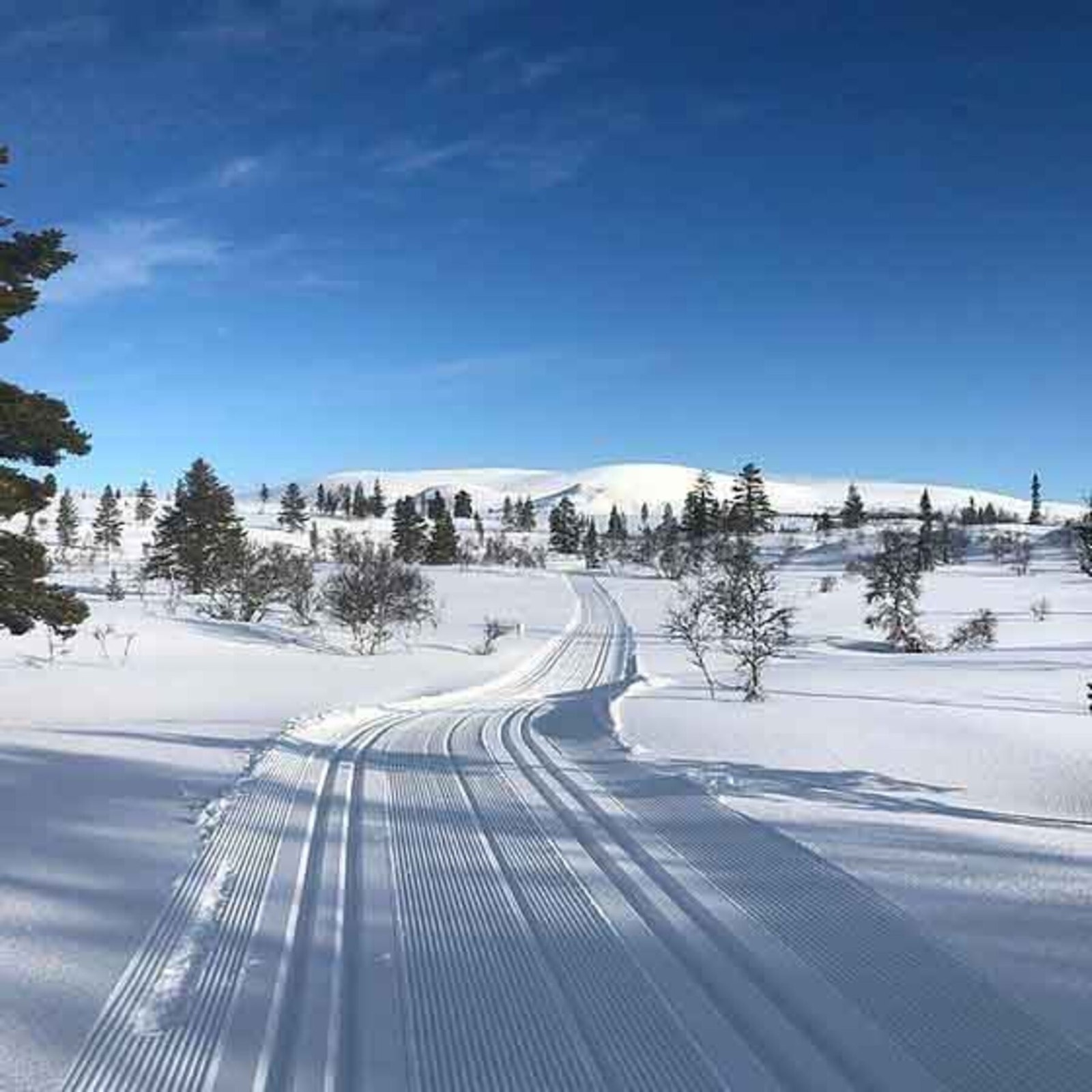 Mot Eltdalskardet som ligger 1148 moh Galleribilde
