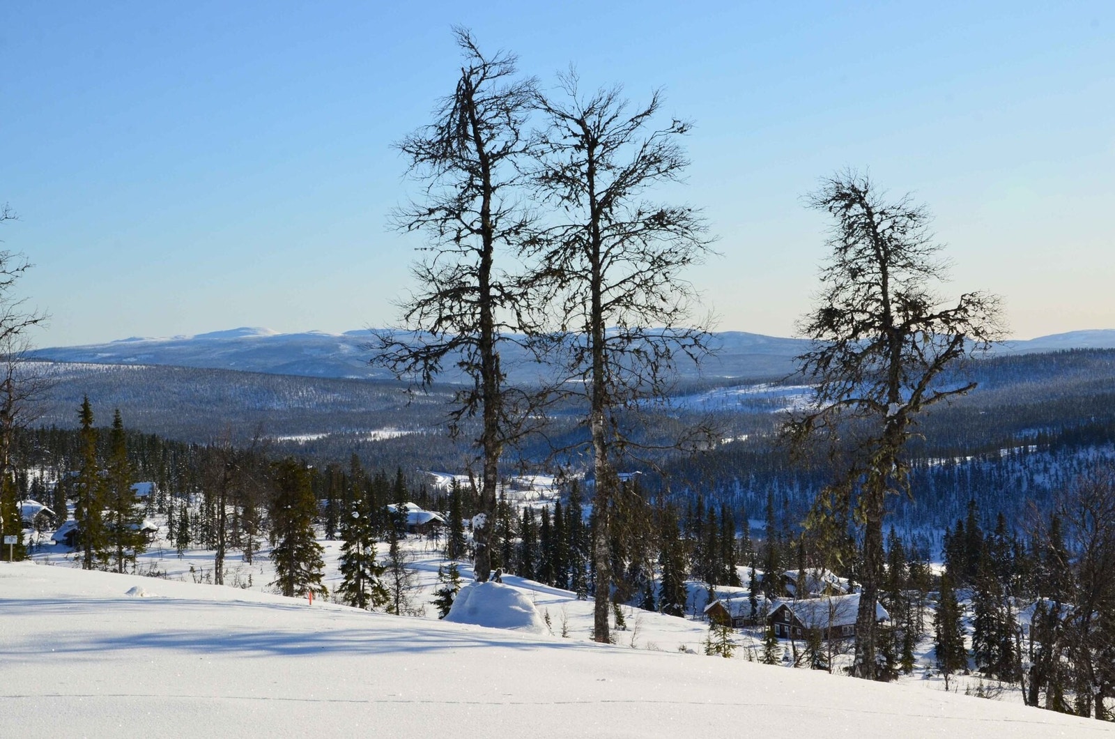 Foto fra tomteområdet Galleribilde