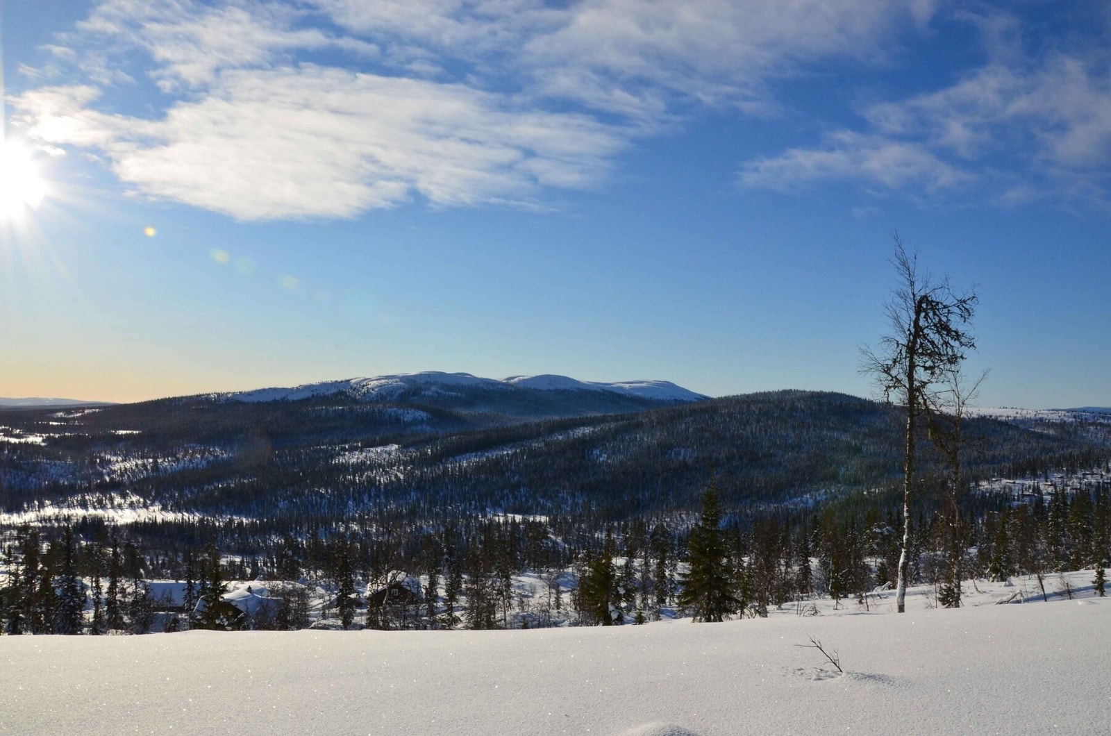 Foto fra tomteområdet Galleribilde