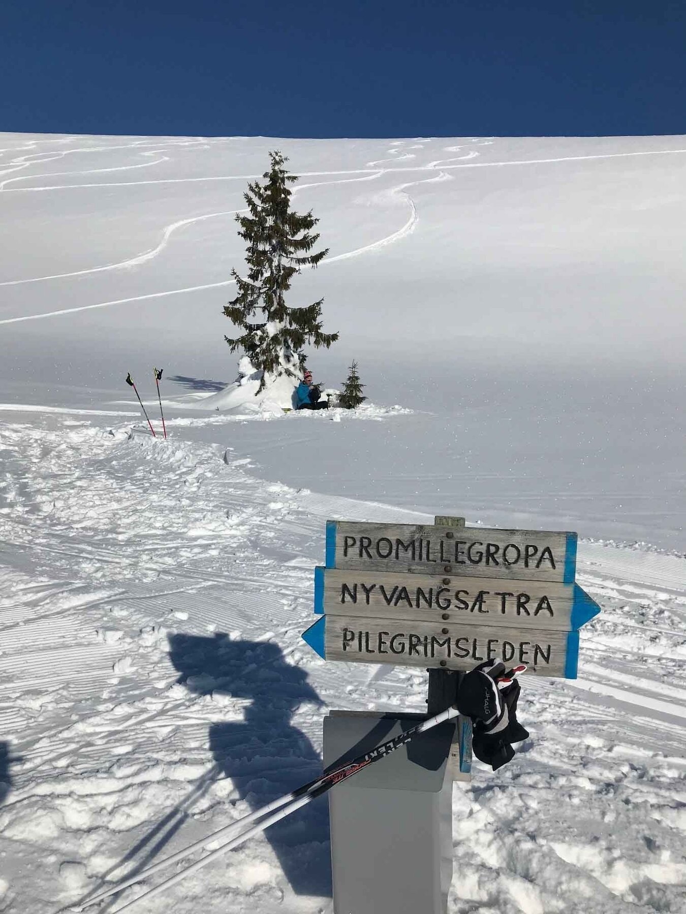 Promillegropa ligger mellom Eltdalsskaret og Skardhammeren Galleribilde