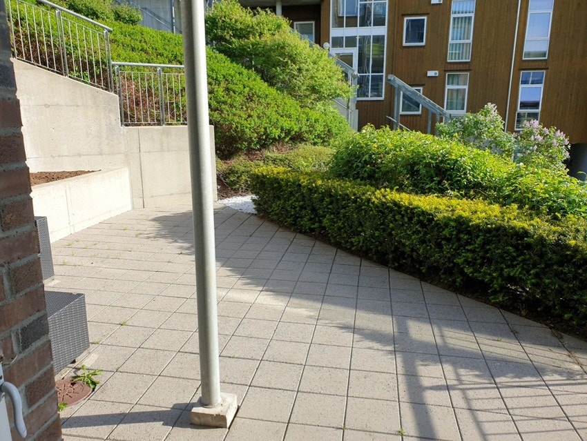 Selgers sommerbilde Galleribilde