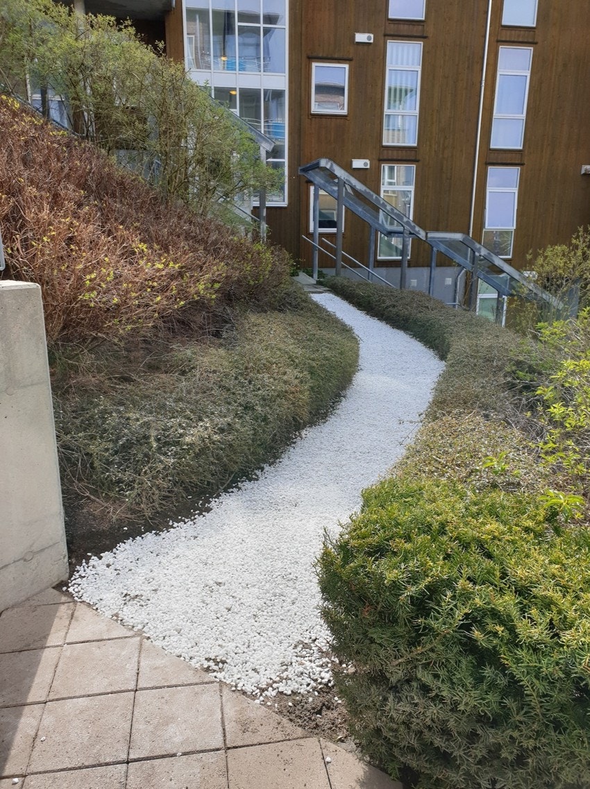 Selgers sommerbilde Galleribilde